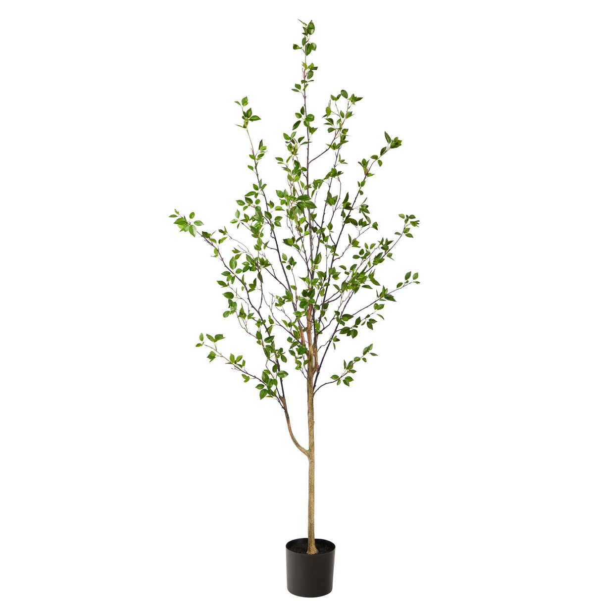 6.5' Minimalist Citrus Tree-Tree-Parc Decor