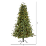 6.5' New Hampshire Spruce Artificial Christmas Tree with 500 Warm White Lights and 1074 Bendable Branches-Christmas Tree-Parc Decor
