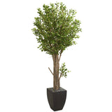6.5’ Olive Artificial Tree in Black Planter-Tree-Parc Decor