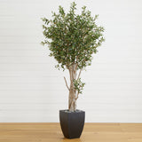 6.5’ Olive Artificial Tree in Black Planter-Tree-Parc Decor