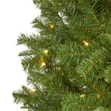 6.5' Vancouver Spruce Artificial Christmas Tree with 250 Warm White Lights and 803 Bendable Branches-Christmas Tree-Parc Decor