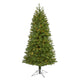 6.5' Vancouver Spruce Artificial Christmas Tree with 250 Warm White Lights and 803 Bendable Branches-Christmas Tree-Parc Decor