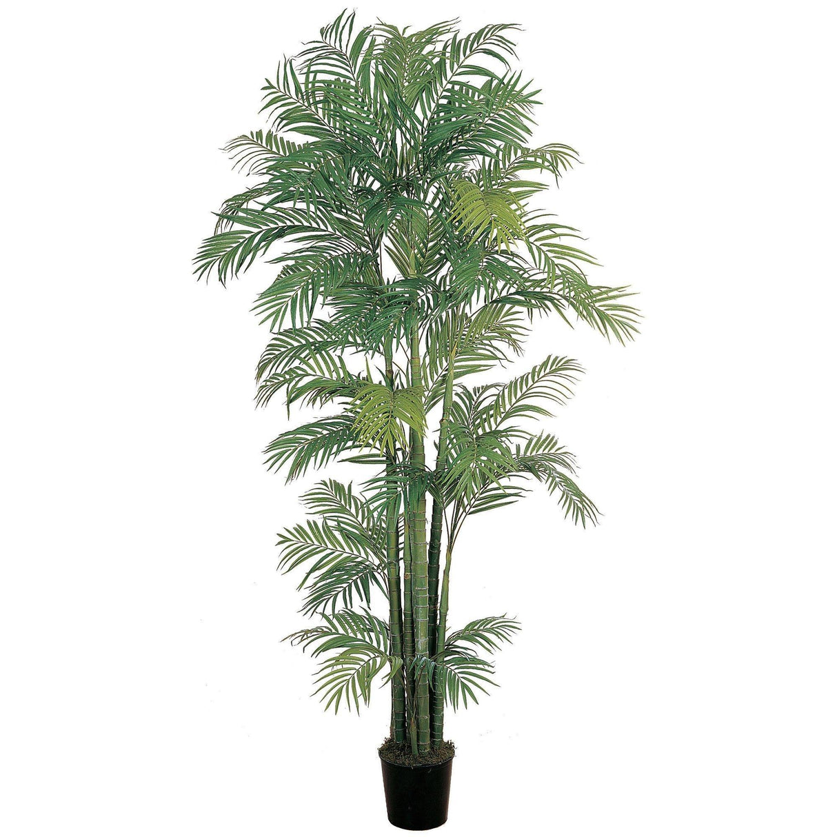 7' Areca Silk Palm Tree-Parc Decor