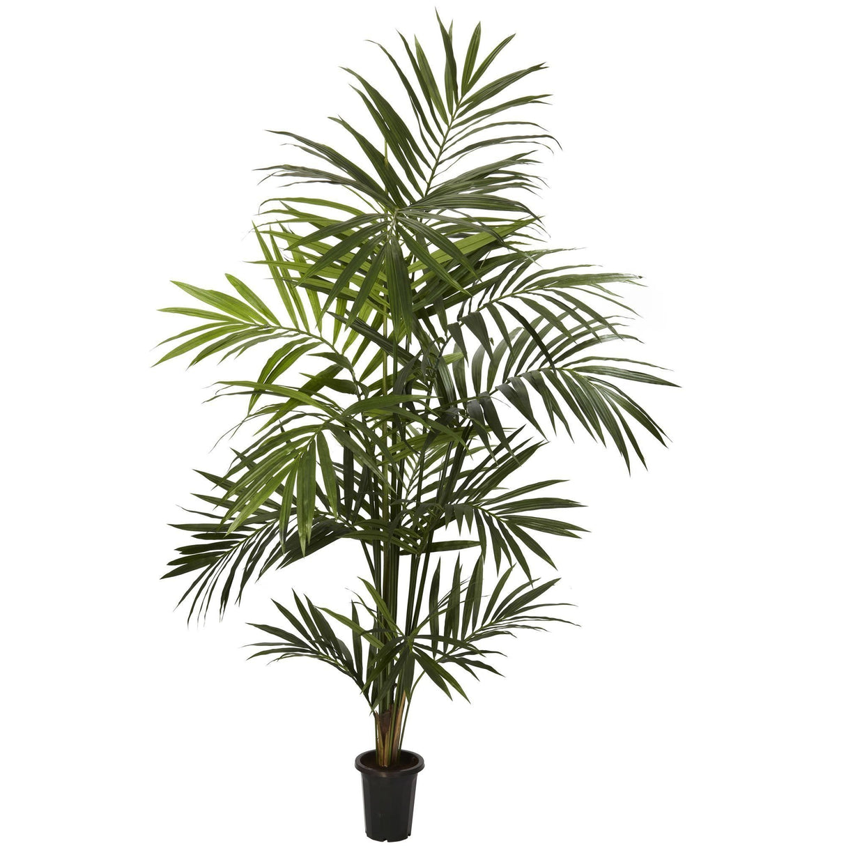 7' Artificial Kentia Palm Silk Tree Bunched-Parc Decor