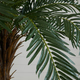 7’ Cycas Palm Artificial Tree-Parc Decor