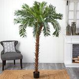 7’ Cycas Palm Artificial Tree-Parc Decor