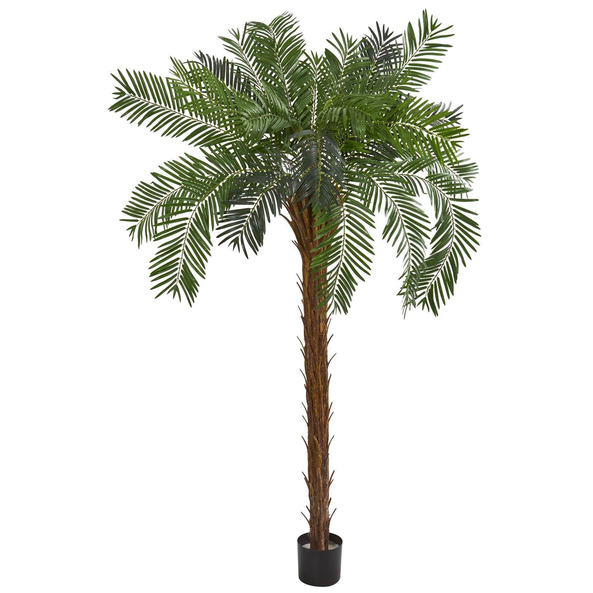 7’ Cycas Palm Artificial Tree-Parc Decor