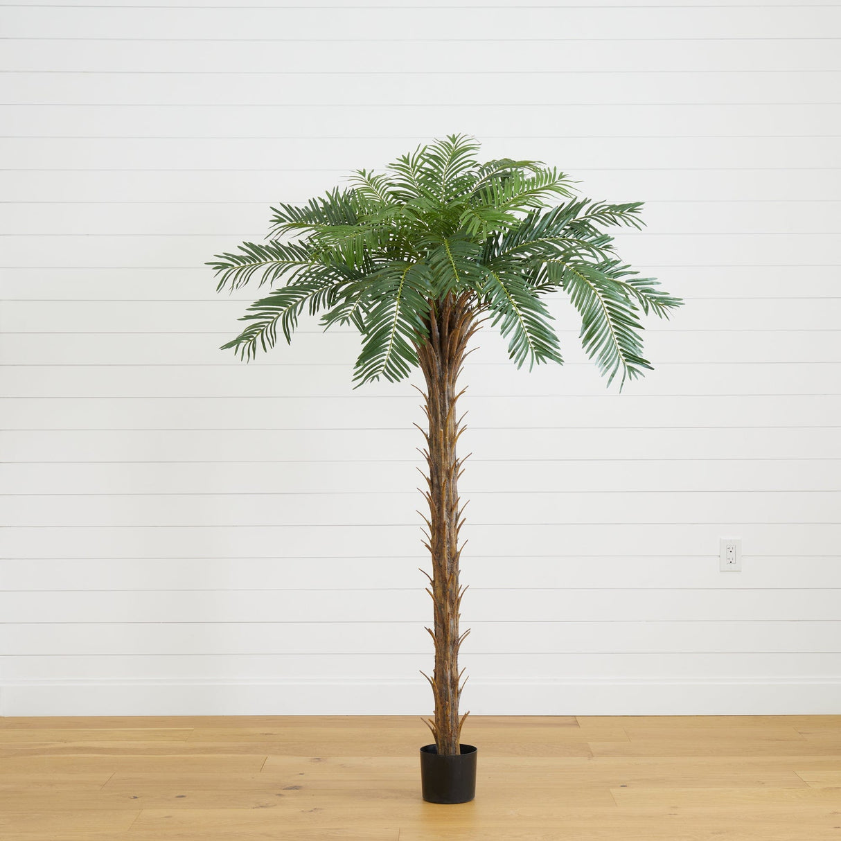 7’ Cycas Palm Artificial Tree-Parc Decor
