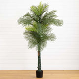7’ Double Robellini Palm Tree UV Resistant (Indoor/Outdoor)-Parc Decor