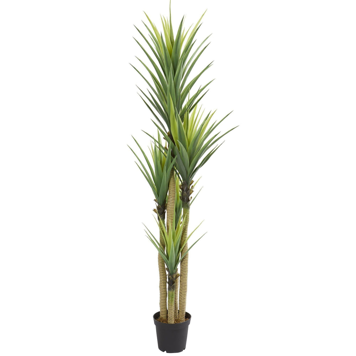 7' Dracaena Artificial Plant-Parc Decor