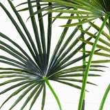 7’ Fan Palm Tree UV Resistant (Indoor/Outdoor)-Parc Decor