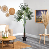 7’ Fan Palm Tree UV Resistant (Indoor/Outdoor)-Parc Decor