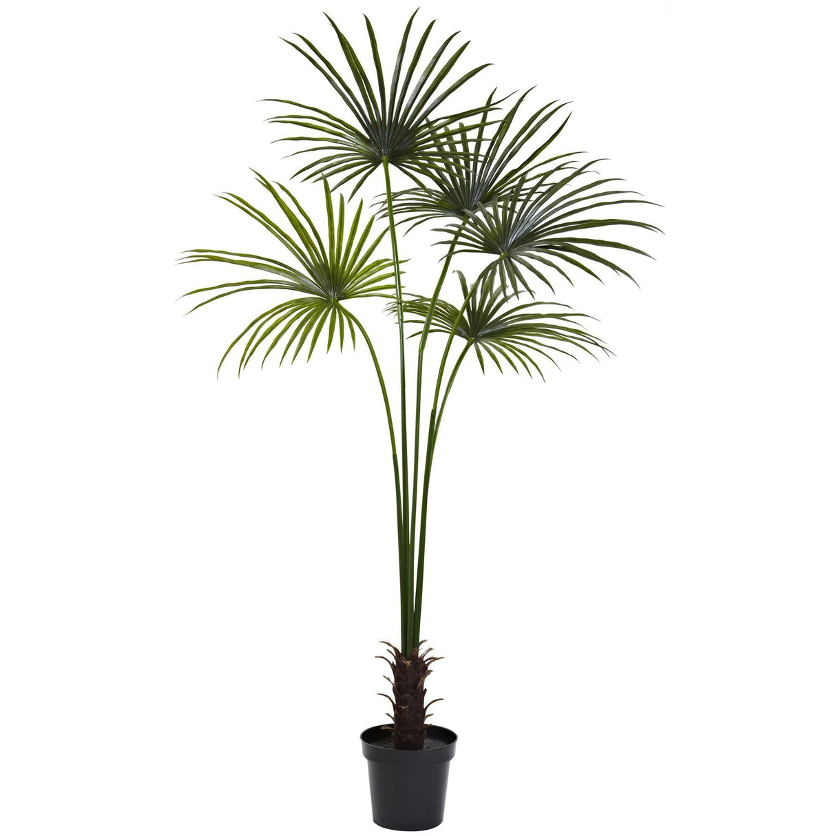 7’ Fan Palm Tree UV Resistant (Indoor/Outdoor)-Parc Decor