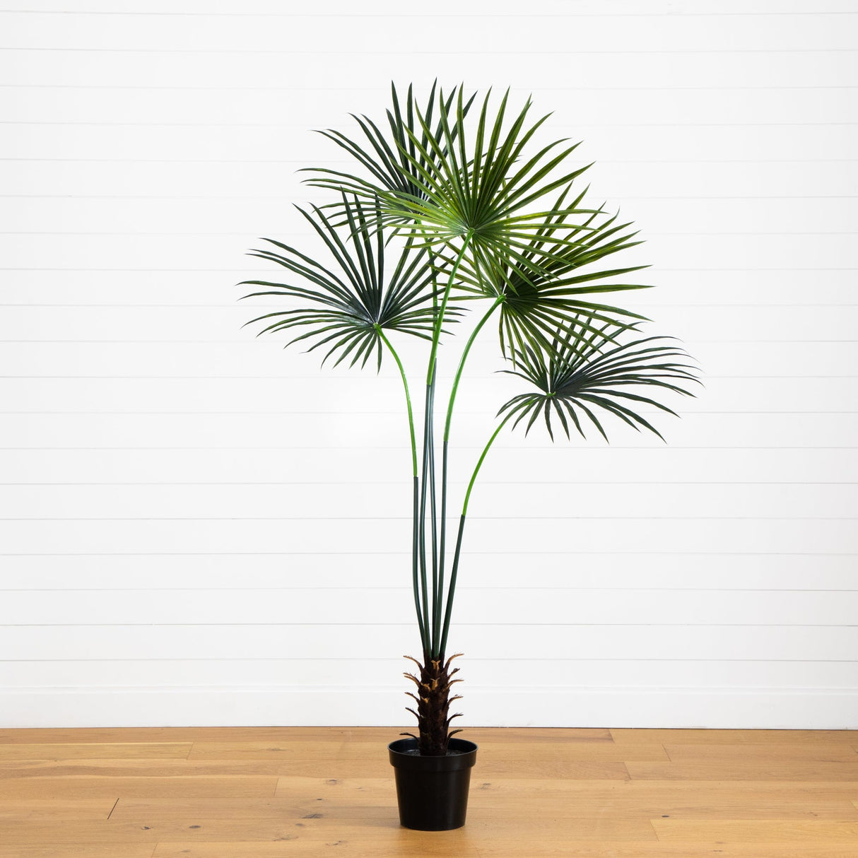 7’ Fan Palm Tree UV Resistant (Indoor/Outdoor)-Parc Decor