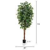 7' Ficus Silk Tree-Parc Decor