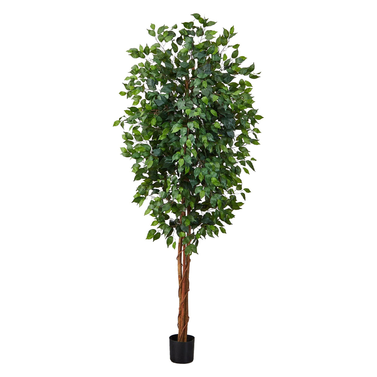 7' Ficus Silk Tree-Parc Decor
