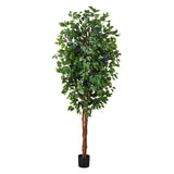 7' Ficus Silk Tree-Parc Decor