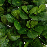 7’ Fiddle Leaf Fig Artificial Tree Beige Trunk-Parc Decor