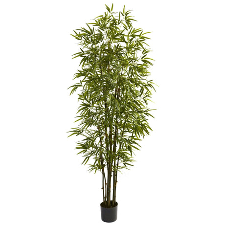 7’ Green Bamboo Tree-Parc Decor