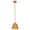 7 Inch Elsa 1-Light Island Pendant Light-Parc Decor