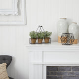 7” Mini Jade Garden Artificial Plant in Hanging Planter-Parc Decor