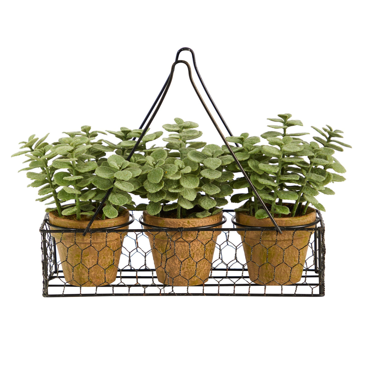 7” Mini Jade Garden Artificial Plant in Hanging Planter-Parc Decor