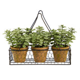 7” Mini Jade Garden Artificial Plant in Hanging Planter-Parc Decor