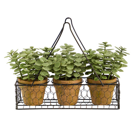 7” Mini Jade Garden Artificial Plant in Hanging Planter-Parc Decor
