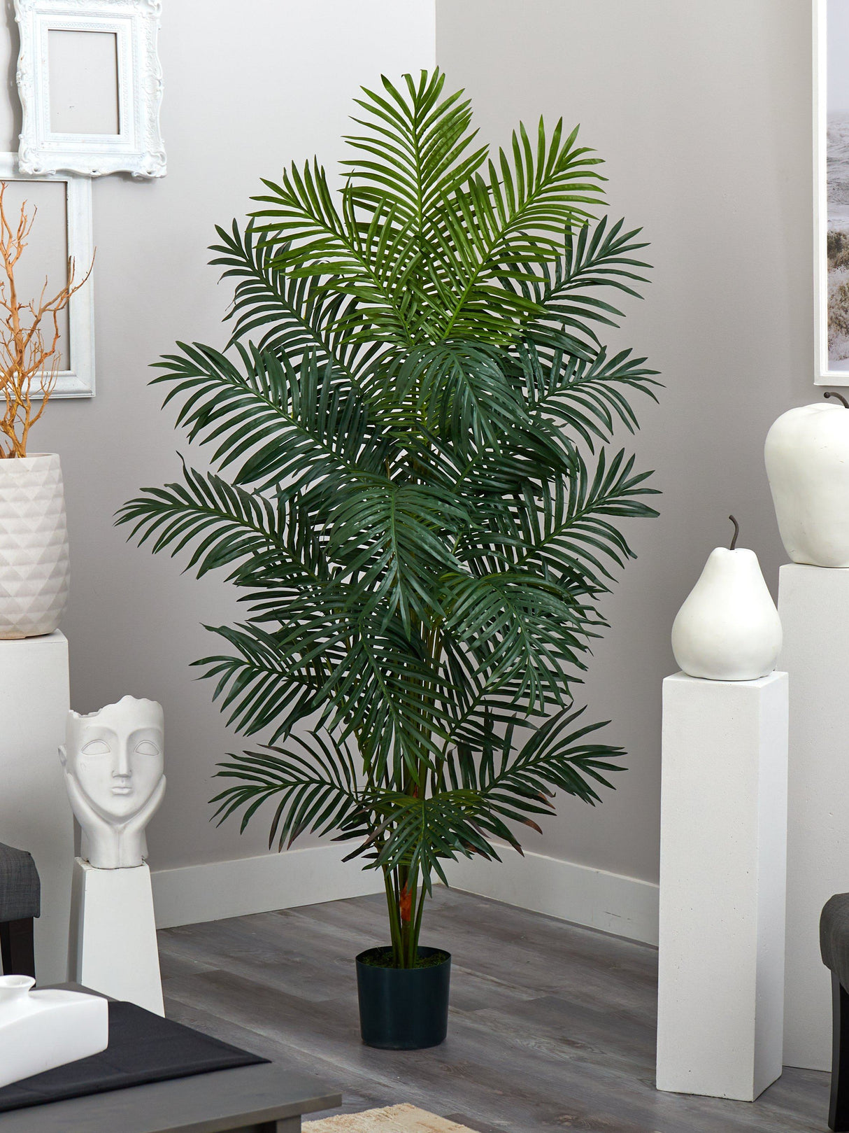 7' Paradise Palm-Parc Decor