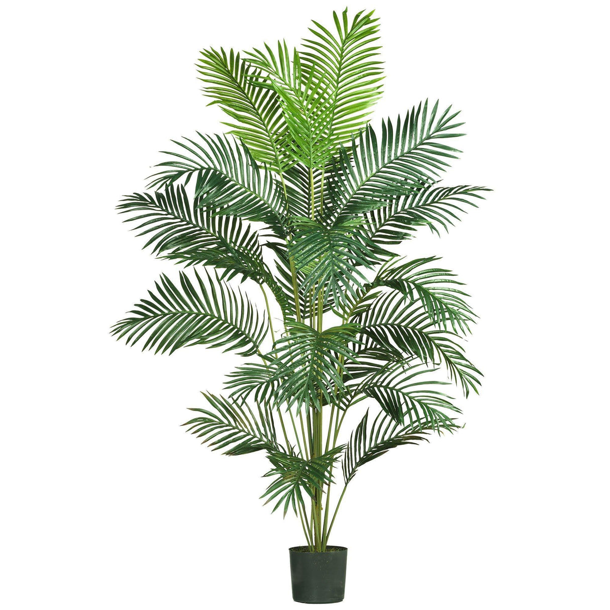 7' Paradise Palm-Parc Decor
