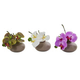 7” Phalaenopsis Orchid Artificial Arrangement (Set of 3)-Parc Decor