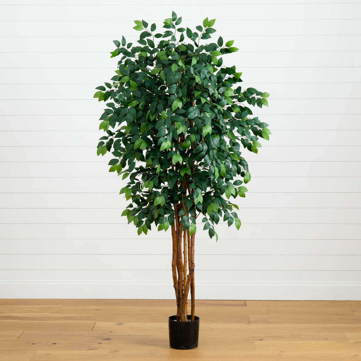 7’ Sakaki Silk Tree-Parc Decor
