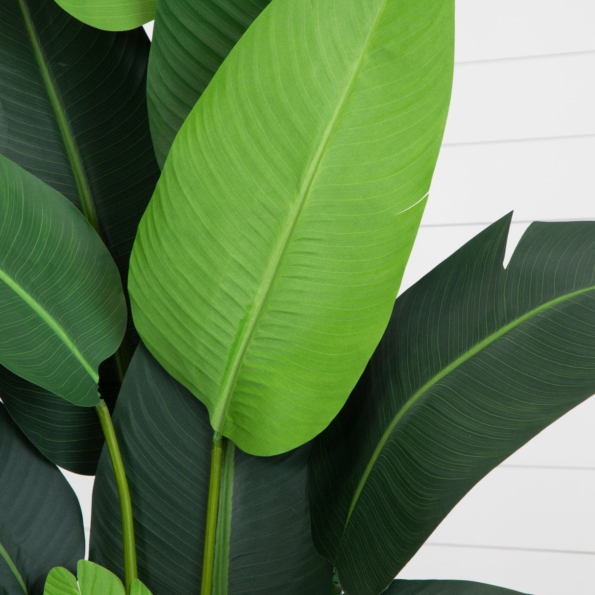 7' Travelers Palm Artificial Tree-Parc Decor