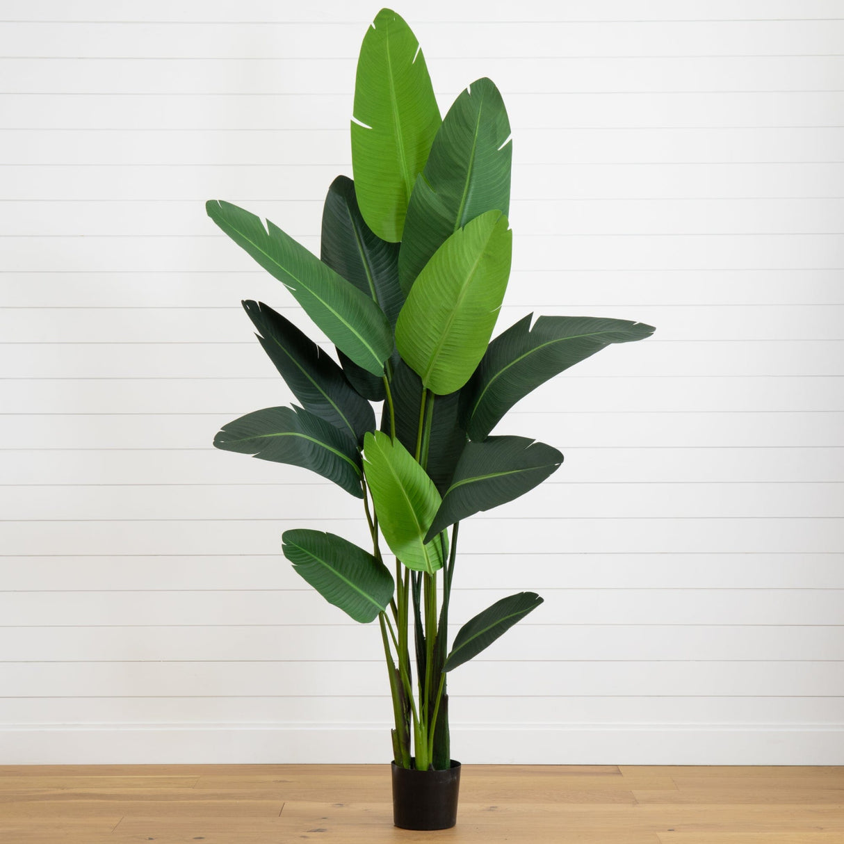 7' Travelers Palm Artificial Tree-Parc Decor