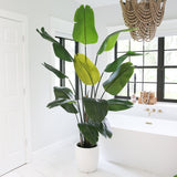 7' Artificial Bird of Paradise Tree with Resin Stone Planter-Tree-Parc Decor