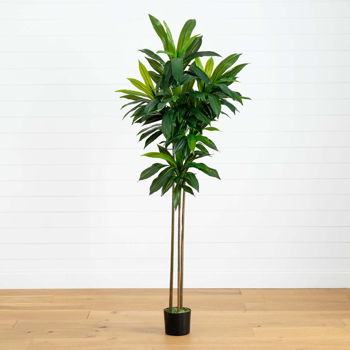 7’ Artificial Dracaena Tree-Tree-Parc Decor