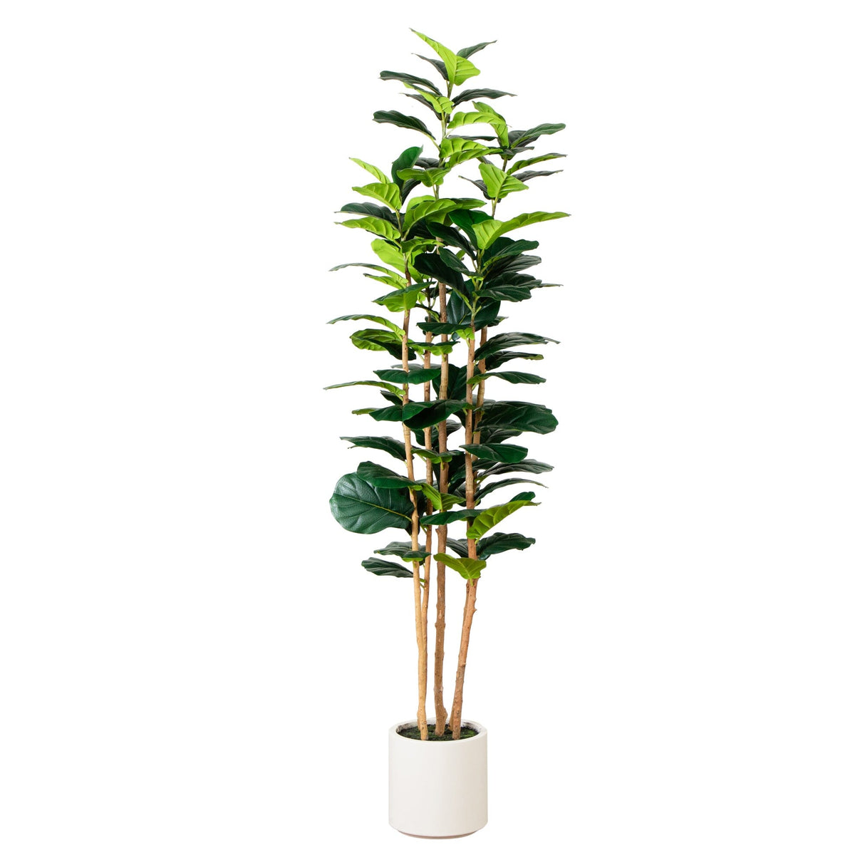 7’ Artificial Fiddle Leaf Tree in Decorative White Planter-Tree-Parc Decor