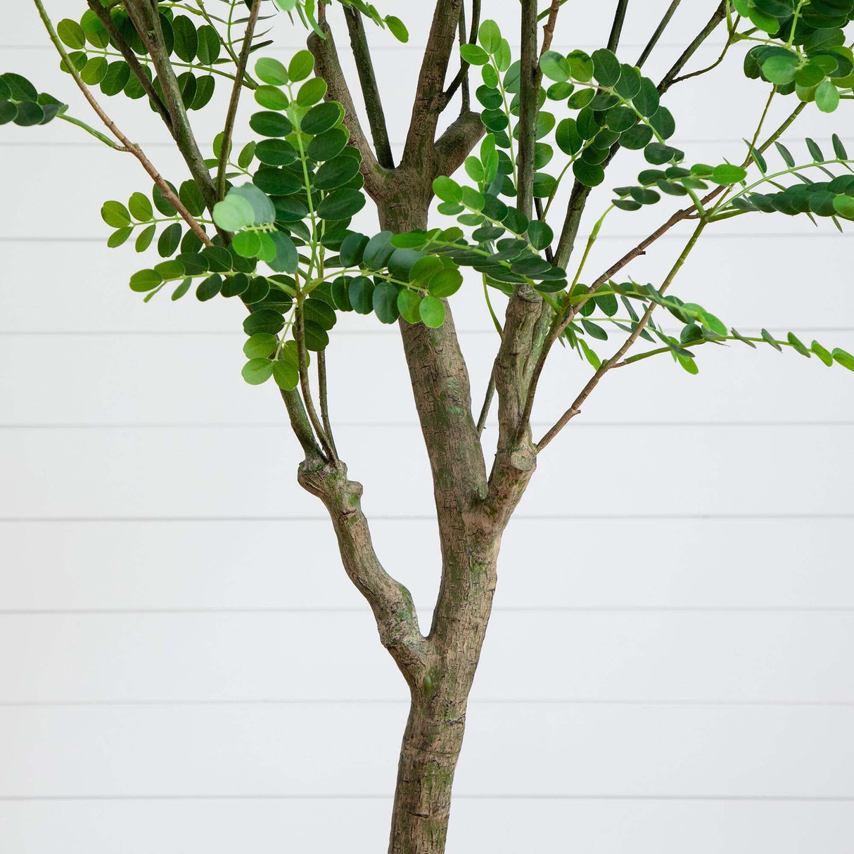 7' Artificial Greco Citrus Tree with Real Touch Leaves-Tree-Parc Decor