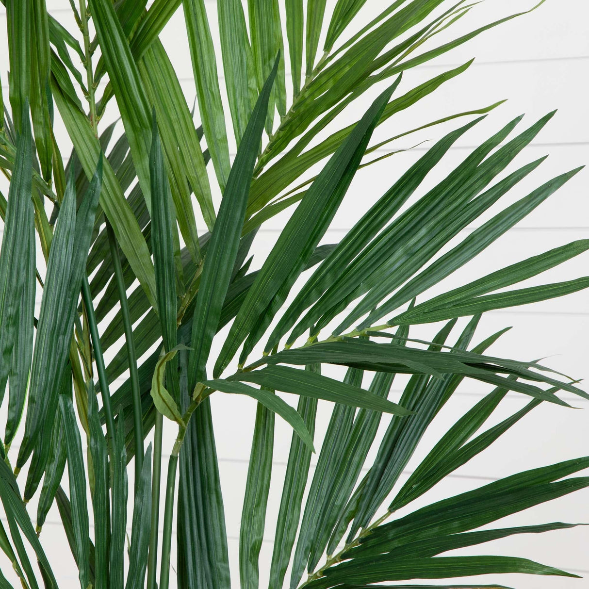 7' Artificial Kentia Palm Silk Tree-Tree-Parc Decor