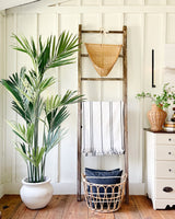 7' Artificial Kentia Palm Silk Tree-Tree-Parc Decor