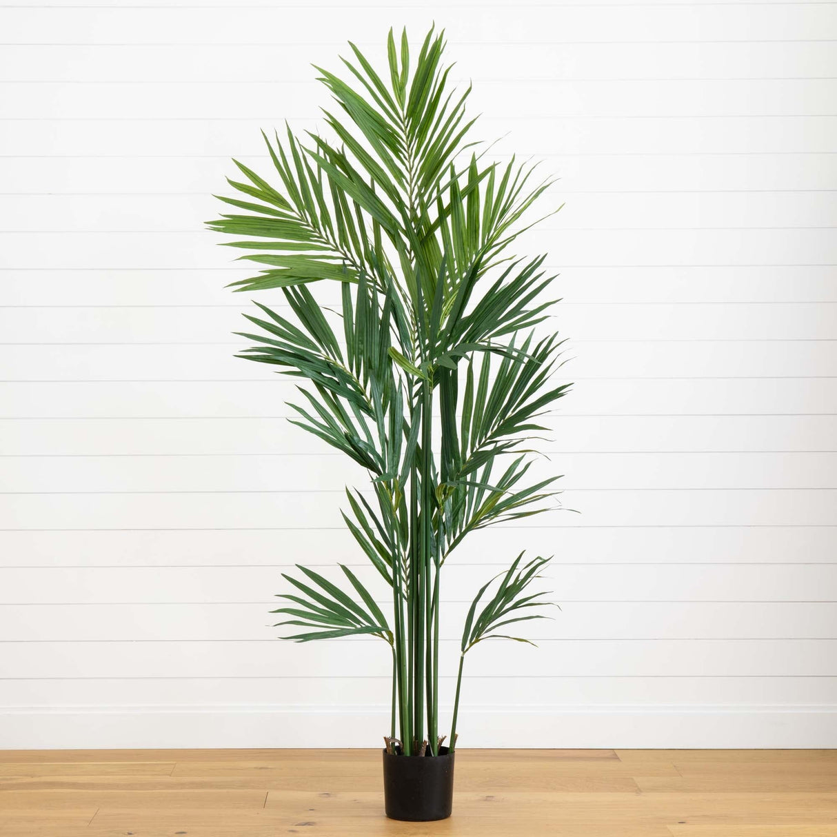 7' Artificial Kentia Palm Silk Tree-Tree-Parc Decor
