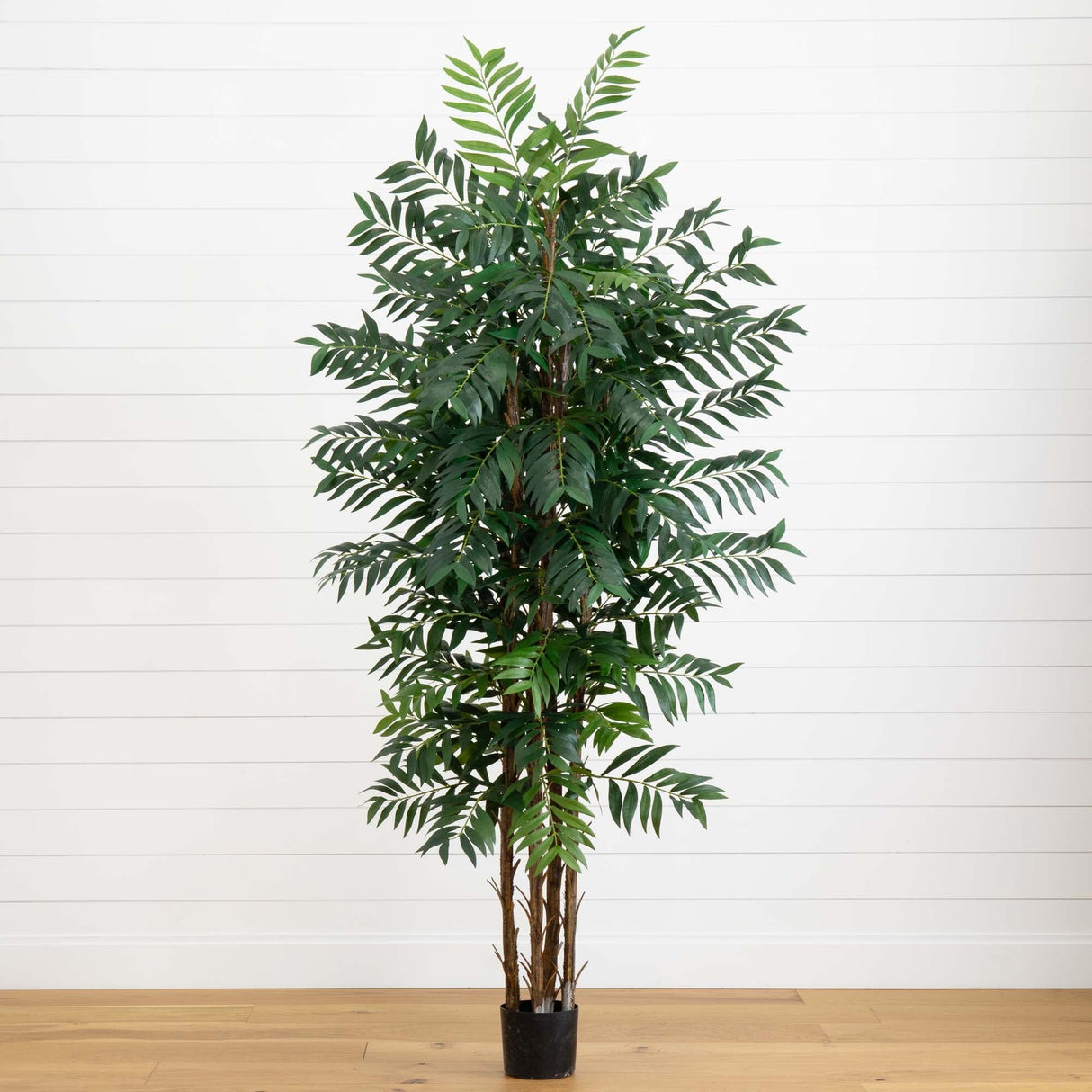 7' Bamboo Palm Silk Tree-Tree-Parc Decor