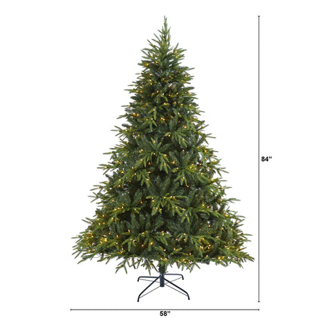 7’ Colorado Mountain Fir “Natural Look” Artificial Christmas Tree with 500 Clear LED Lights and 2552 Tips-Christmas Tree-Parc Decor