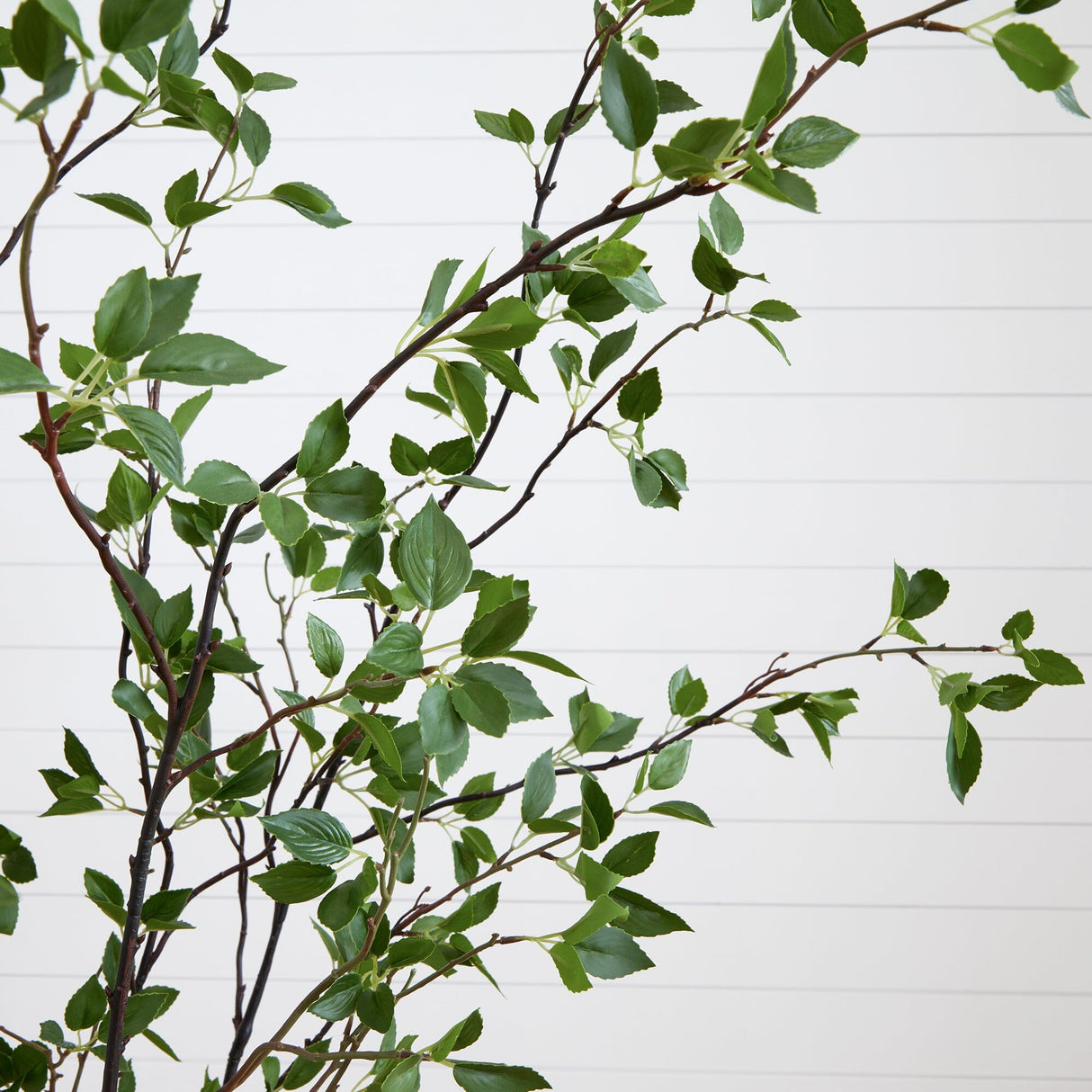 7' Minimalist Citrus Artificial Tree-Tree-Parc Decor