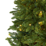 7' New Hampshire Fir Artificial Christmas Tree with 450 Clear LED Lights-Christmas Tree-Parc Decor
