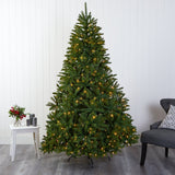 7’ Sierra Spruce “Natural Look” Artificial Christmas Tree with 500 Clear LED Lights and 2213 Tips-Christmas Tree-Parc Decor