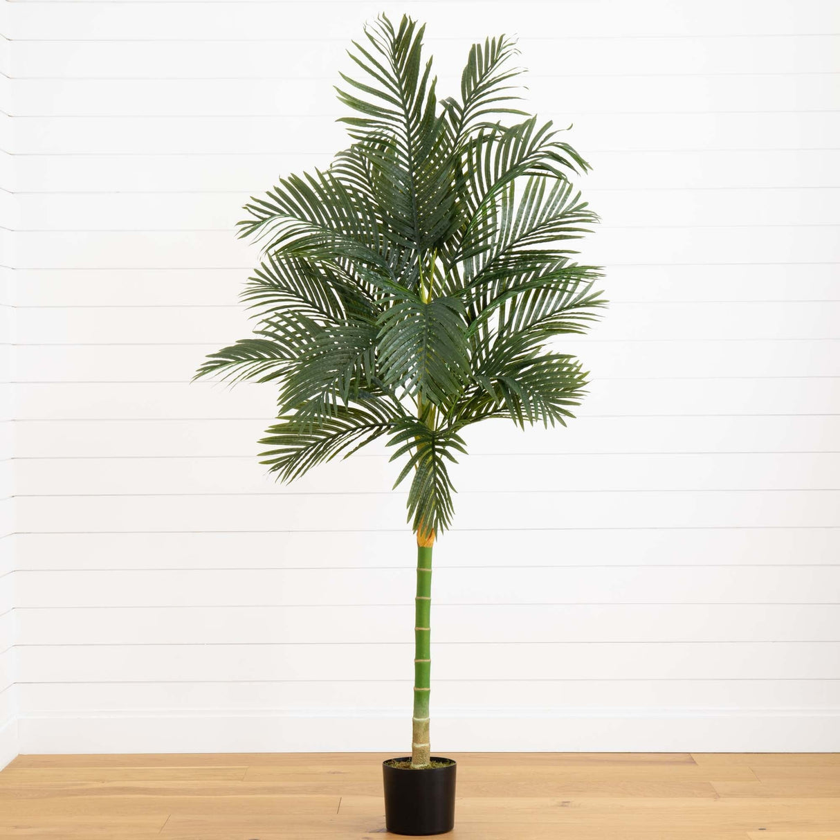 7’ Single Stalk Golden Cane Artificial Palm Tree-Tree-Parc Decor