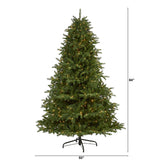 7’ South Carolina Spruce Artificial Christmas Tree with 500 White Warm Lights and 2644 Bendable Branches-Christmas Tree-Parc Decor