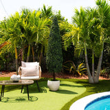 7’ UV Resistant Artificial Boxwood Topiary Cone Tree (Indoor/Outdoor)-Tree-Parc Decor