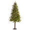 7' Wyoming Alpine Artificial Christmas Tree with 200 Clear (multifunction) LED Lights and Pine Cones on Natural Trunk-Christmas Tree-Parc Decor
